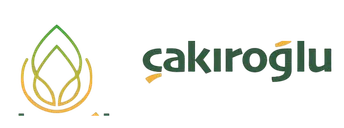çakıroğlu